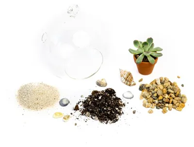 Zdjęcie produktu dla Gardners Aerarium kula 8 cm Zasadź sam