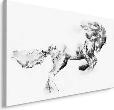 Produktbild von Fabelhafte Canvas LEINWAND BILDER 70x50 cm XXL Kunstdruck Tiere Pferd Gemalt Abstrakt