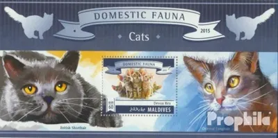 Produktbild von Briefmarken Malediven 2015 Mi Block 824 (kompl. Ausg.) postfrisch Katzen