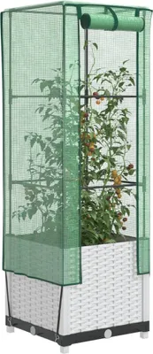 A tall, narrow greenhouse with a raised planter box, containing a tomato plant with ripe fruit.