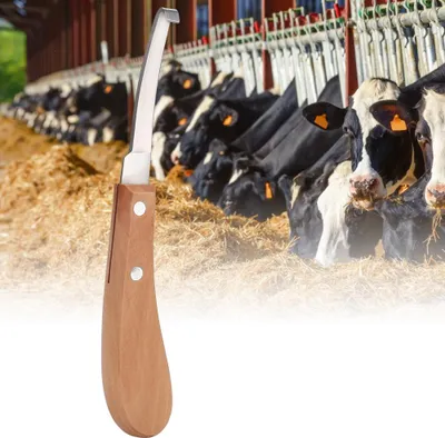 Obrázok produktu pre Nástroj na orezávanie kopýt z uhlíkovej ocele s rovnou čepeľou na použitie na hovädzí dobytok a kone (pravá ruka)