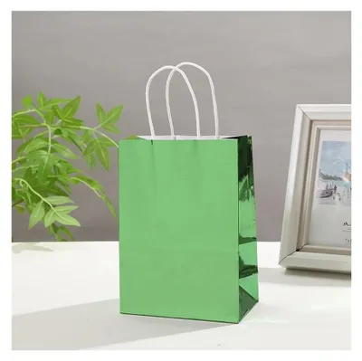 Image de Sacs en papier réutilisables - Vert - Lot de 10