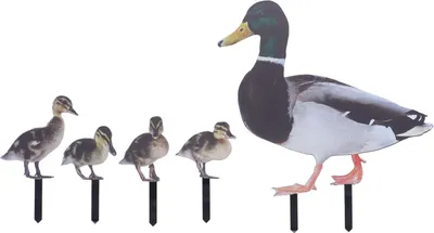 Immagine prodotto di Paletti da giardino per anatre Statua di famiglia realistica Segno decorativo in acrilico per uso esterno