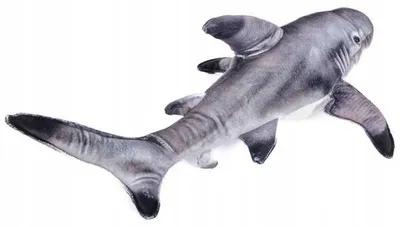 Produktbild von Plüschtier Schwarzspitzenhai, 50 cm, Kuscheltiere Stofftiere Meerestiere Ozean Fische Meer Haie Hai