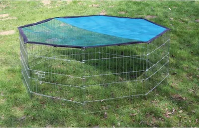 Obrázek produktu pro Kerbl 82708, Mříž, Králík, Černá, Modrá, Nerezová ocel, 1 dveře/dveří, 1 kusů