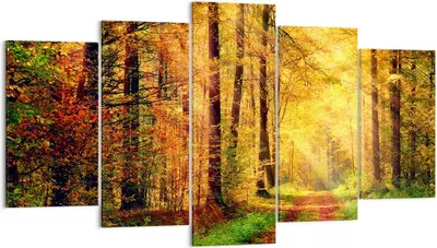 Produktbild von Bild auf Leinwand - Leinwandbild - Wald Baum Natur - 160x85cm - Wand Bild - Wanddeko - Wandbilder - Leinwanddruck - Bilder - Kunstdruck - Wanddekoration - Leinwand bilder - Wandkunst - EA160x85-3718