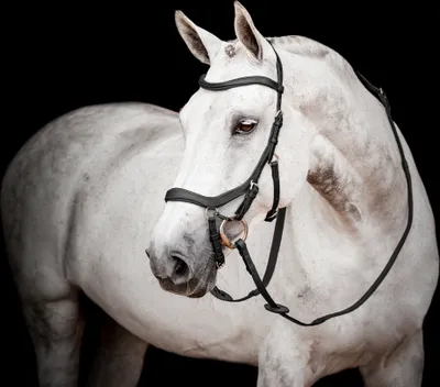 Produktbild von Horseware Ireland Snaffle Micklem 2 s gumovými opratami Súťažná uzda Snaffle Dark Havana Full