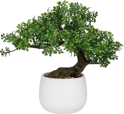 Image de Arbre Bonsaï artificiel Podocarpus 25 cm avec pot en céramique - Décoration pour le salon et la chambre à coucher