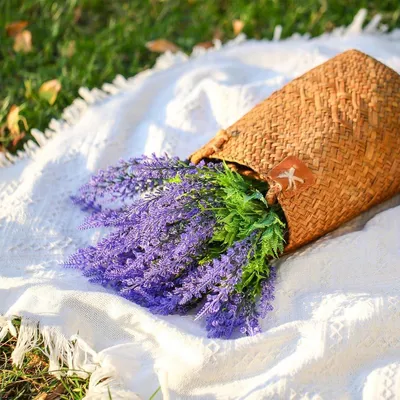 Sonstige Gartendekoration, Hauptbild