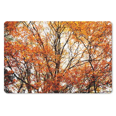 Produktbild von MuchoWow® Mauspad Mousepad Wald - Herbst - Jahreszeiten 27x18 cm - Mousepads - Maus Mat - Pad - Mausunterlage - Büroartikel - Desk Matten