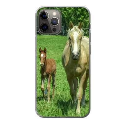 Produktbild von MuchoWow® Handyhülle Schutzhülle Hülle für iPhone 13 Pro Pferd - Fohlen - Tiere Silikon Softcase Handy Hülle - Handy-Tasche