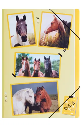 Image de Pagna® 21715-15 Chemise à élastique xoxo Horse - A4, 3 rabats, PP