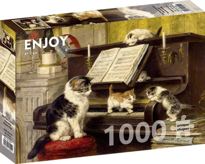 Produktbild von ENJOY Puzzle Klavierunterricht 1000 Teile