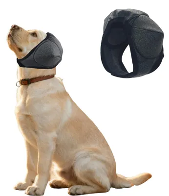 Produktbild von Hunde-Ohrenschützer, elastisch, wasserfest, Größe L, Geräuschdämpfung für Pflege