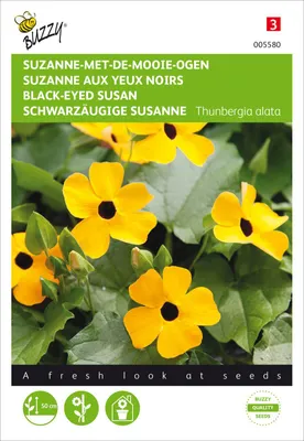 Produktbild von Schwarzäugige Susanne | Blumensamen von Buzzy Seeds