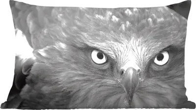 Produktbild von MuchoWow® Zierkissen Sofakissen Wohnzimmer Dekokissen 50x30 cm Adler - Schwarz - Weiß - Wohnzimmerdekoration - Polster mit Photo