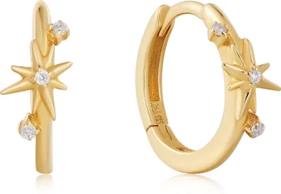 Produktbild von Ania-Haie-14KT-Gold EAU008-02YG Ohrringe