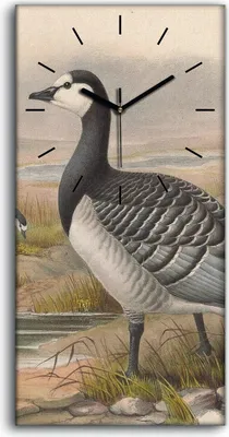 Produktbild von Wohnzimmer-Bild Leinwand Uhr Geräuschlos 30x60 Vögel Wild Tiere Zeichnung Kunst - schwarze Hände