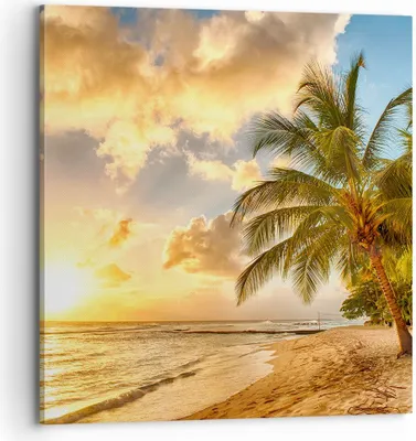 Produktbild von Bild auf Leinwand - Leinwandbild - Strand Meer Palme - 70x70cm - Wand Bild - Wanddeko - Wandbilder - Leinwanddruck - Bilder - Kunstdruck - Wanddekoration - Leinwand bilder - Wandkunst - AC70x70-3606
