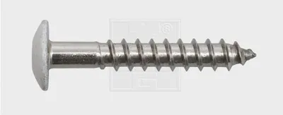 Produktbild von SWG Fassadenschraube 5,5 x 35 mm A4 weiß TX20 100 Stück