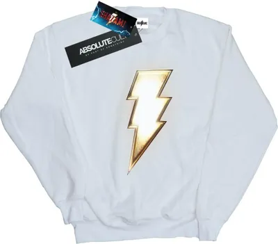 Produktbild von DC Comics - Sweatshirt für Herren BI44481 (5XL) (Weiß)