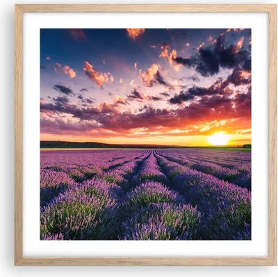 Produktbild von Gerahmtes Poster - Rahmen in heller Eiche - Lavendel Berge Feld - 50x50 cm - Wand Bild - Wanddeko - Wandbilder - Wandposter - Bilderrahmen - Bilder - Kunstdruck - Wandbild - P2NAC50x50-3816