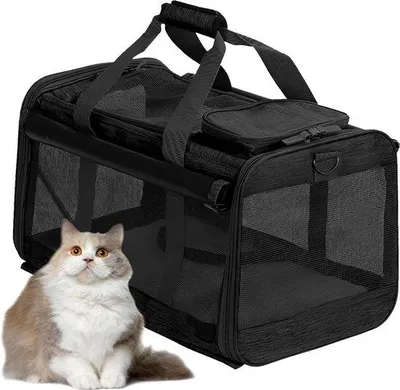 Produktbild von Famanu Transporttas für Katzen und Hunde - Verstellbare Tragegurte - Mittelgroße Katze - Kleine Hunde