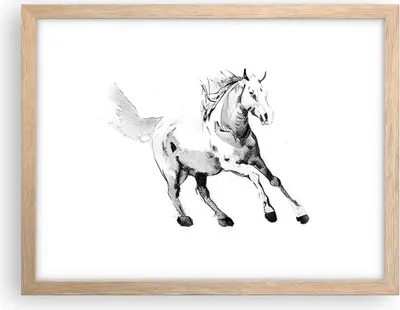 Produktbild von Gerahmtes Poster - Rahmen in heller Eiche - Pferd Galopp Tier - 40x30 cm - Wand Bild - Wanddeko - Wandbilder - Kunstposter - Wandposter - Bilderrahmen - Bilder - Kunstdruck - P2NAA40x30-5117