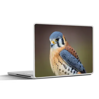 Produktbild von MuchoWow® Laptop Aufkleber Sticker Cover Vogel - Makro - Blau 25x18 cm - Laptop-Deko