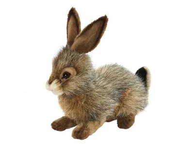 Produktbild von Hansa Toy 6284 Feldhase liegend 21 cm Kuscheltier Stofftier Plüschtier