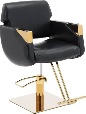 Produktbild von Expondo physa Friseurstuhl mit Fußstütze - 480 - 630 mm - 200 kg - Schwarz / Golden