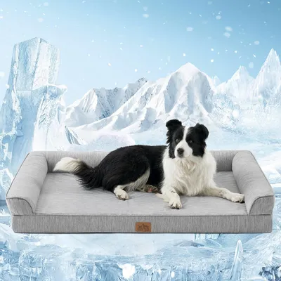 Produktbild von Kühlendes Orthopädisches Hundebett für XXL Hunde
