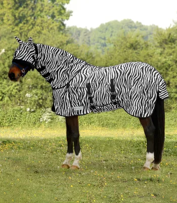 Produktbild von Waldhausen Fliegendecke Zebra Fliegenschutz 125 cm