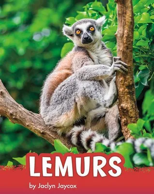 Produktbild von Lemurs