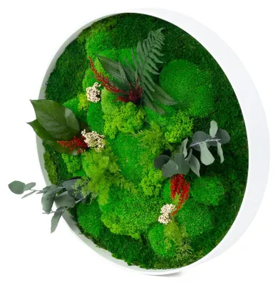 Produktbild von Rundes Moosbild Dschungel Design (⌀30 cm, weiß)