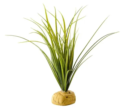 Image de EXO TERRA Plante abuliton 80 cm de haut
