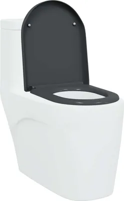 Image de vidaXL Siège de toilettes anthracite 49 x 36 x 4 cm en résine thermodurcissable