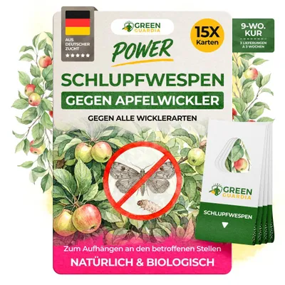 Produktbild von Green Guardia Schlupfwespen gegen Apfelwickler -15x Karten 3x Lieferung- Biologisches Mittel gegen Apfelwickler, Chemiefrei Apfelwickler bekämpfen