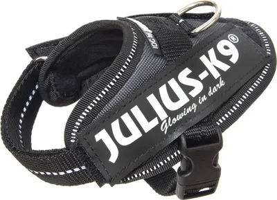 Produktbild von Julius K9 - Hundegeschirr - anthrazit - Baby 2 - 33-45 cm