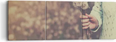 Produktbild von Bild auf Leinwand - Leinwandbild - Baby Sommer Pflanze - 90x30cm - Wand Bild - Wanddeko - Wandbilder - Leinwanddruck - Bilder - Kunstdruck - Wanddekoration - Leinwand bilder - Wandkunst - CA90x30-3738