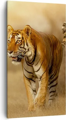 Produktbild von Bild auf Leinwand - Leinwandbild - tiger tier - 45x80cm - Wand Bild - Wanddeko - Wandbilder - Leinwanddruck - Bilder - Kunstdruck - Wanddekoration - Leinwand bilder - Wandkunst - PA45x80-3946