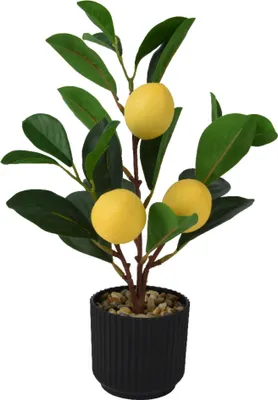 Produktbild von Künstlicher Zitronenbaum 27cm im Topf Gelb / Grün