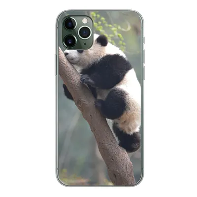 Produktbild von MuchoWow® Handyhülle Schutzhülle Hülle für iPhone 11 Pro Max Panda - Tier - Baum Silikon Softcase Handy Hülle - Schutz