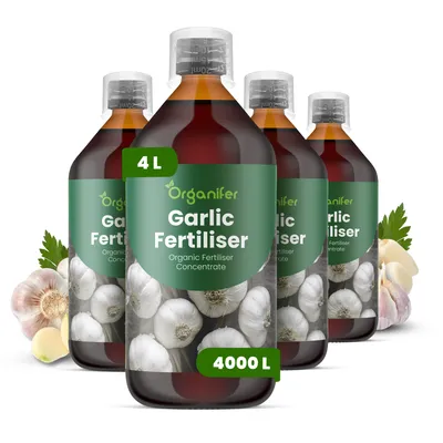 Obrázek produktu pro Cesnak Tekuté Hnojivo 4x1 L – 2-1-8 NPK – Pro Cesnak – Podporuje Stabilný Růst & Silnú Úrodu – Organifer