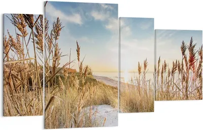 Produktbild von Bild auf Leinwand - Leinwandbild - 4 Teile - Ähren Küste Sonne - 120x70cm - Wand Bild - Wanddeko - Wandbilder - Leinwanddruck - Bilder - Wanddekoration - Leinwand bilder - Wandbild - DL120x70-4653
