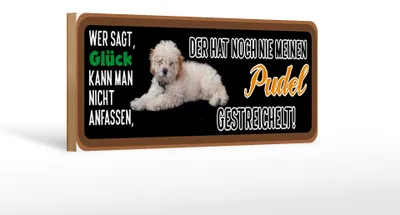 Produktbild von Holzschild Tier Spruch 27x10cm Pudel Hund gestreichelt