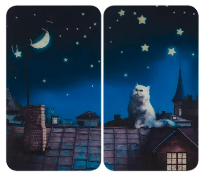 Produktbild von WENKO Herdabdeckplatte Universal Mod. Moon Cat, höhenverstellbar für alle Herdarten, Schneidebrett und Spritzschutz, Glas, 30 x 52 cm, 2-teilig