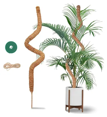 Image de TRANKIELO® - Monstera mosstaaf, 120 cm - support d'escalade en fibres de coco pour plantes grimpantes - support flexible et durable