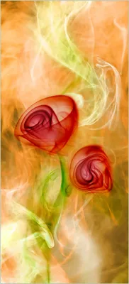 Produktbild von Türtapete Türposter Abstrakte Rosen - Größe: 93 x 205 cm