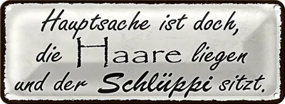 Produktbild von Blechschild Spruch 27x10cm Hauptsache doch die Haare liegen Dekoration